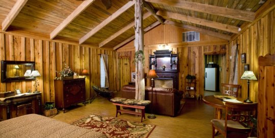Panther Valley Ranch | Jungle Cabin